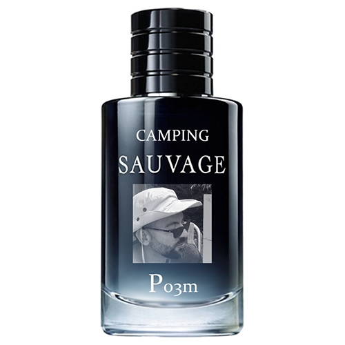 CampingSauvagePo3m.jpg