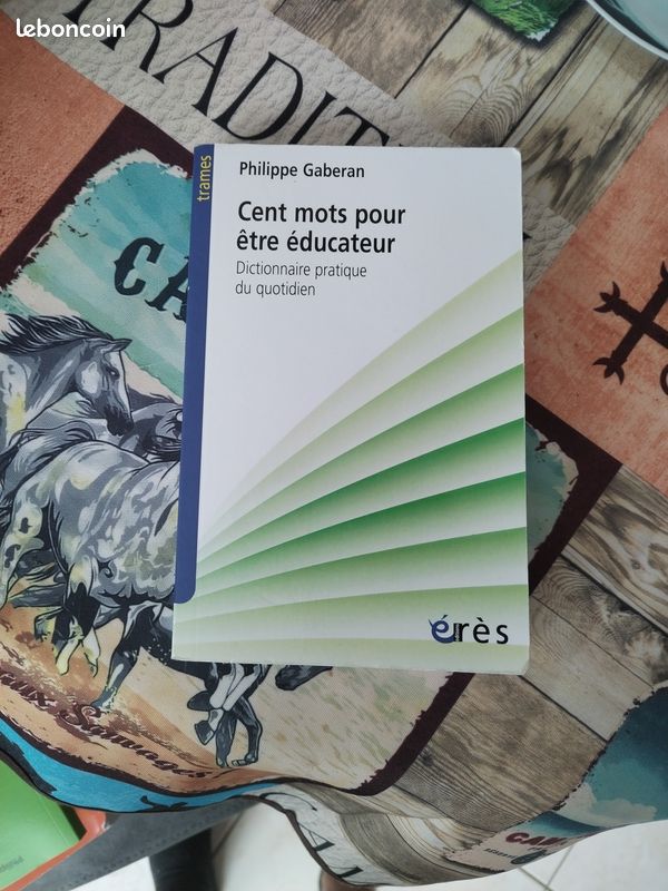 dictionnaire pratique du qotidien.jpg