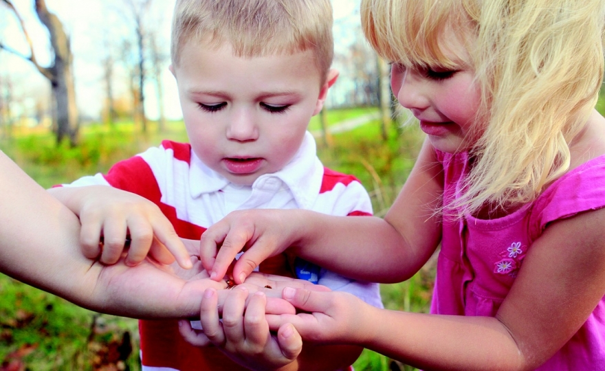 Référentiel professionnel éducateur de jeunes enfants 2018