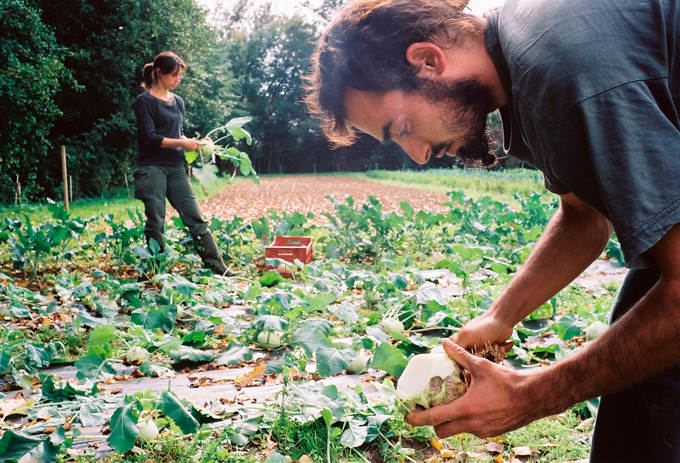 Insérer des exclus : quelle école de management ! L’expérience fondatrice des Jardins de Cocagne