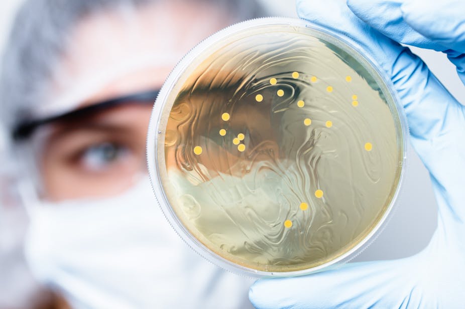 Soigner l’autisme grâce à l’intestin ?