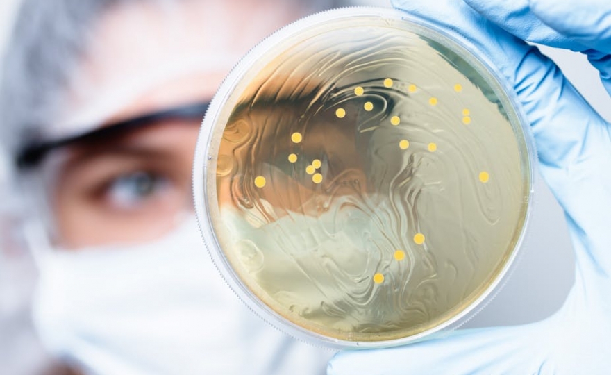 Soigner l’autisme grâce à l’intestin ?