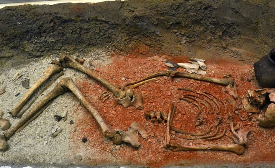 D’où viennent les inégalités sociales ? Regards d’archéologues