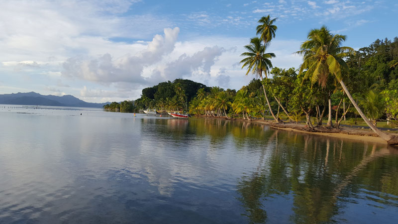 Tout quitter pour les îles : simple tocade ou véritable phénomène sociétal ?