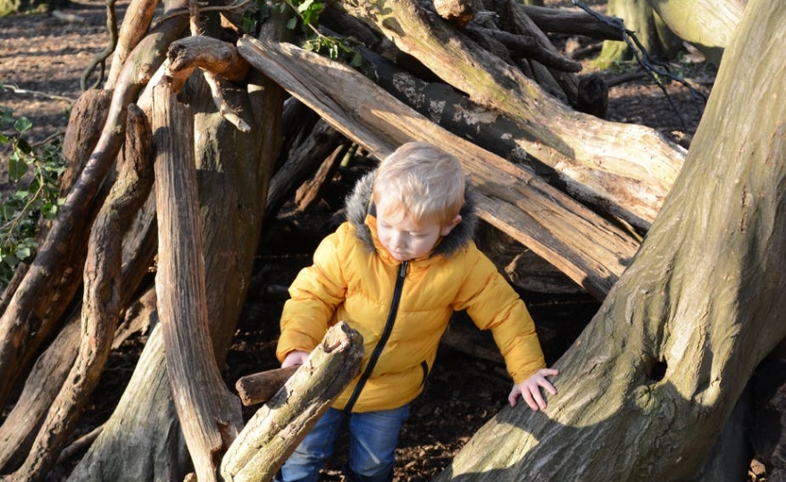 Enseigner l’autonomie : les leçons de Rousseau face à notre monde en réseau