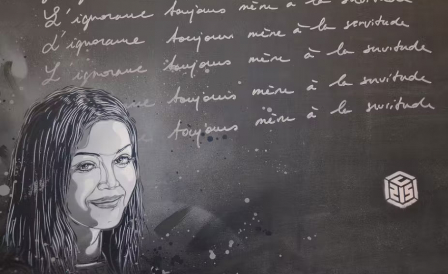 Comment le niveau de diplôme influence la crise démocratique