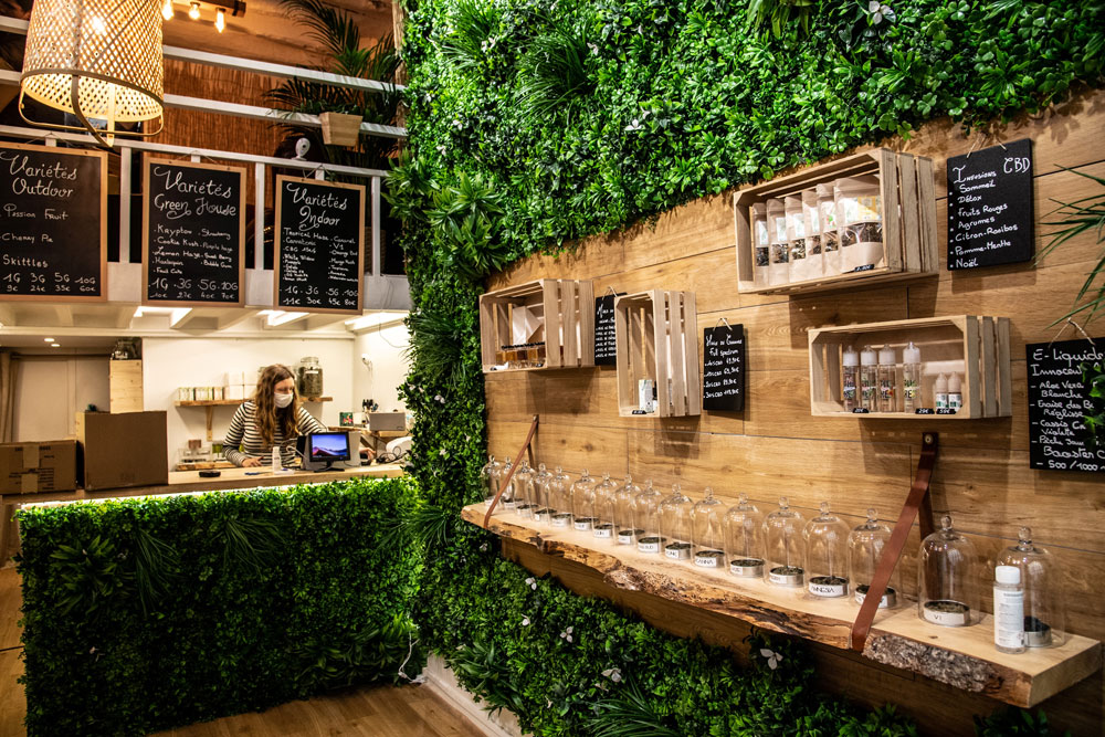 CBD : l’essentiel à savoir avant d’en prendre