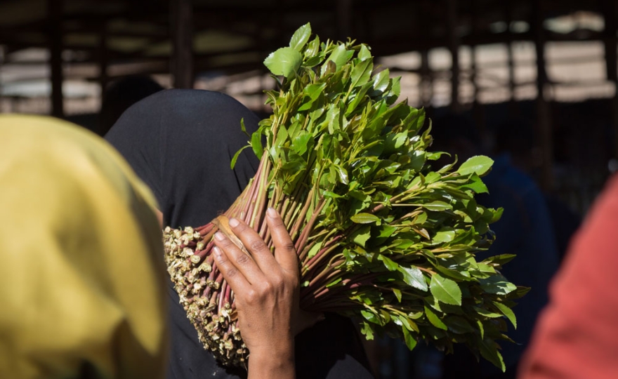 Nouvelles drogues : les cathinones de synthèse circulent de plus en plus en France