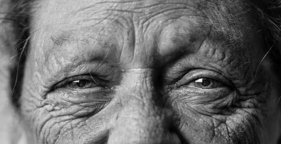 Et si vous profitiez des fêtes pour questionner vos proches à la manière des anthropologues ?