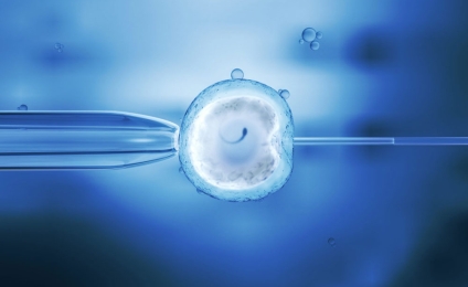 Assistance médicale à la procréation (AMP ou PMA) : les incohérences de la loi actuelle